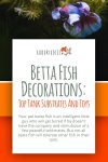Betta Fish Tank Decorations