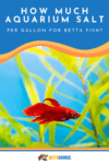 Aquarium Salt For Betta Fish