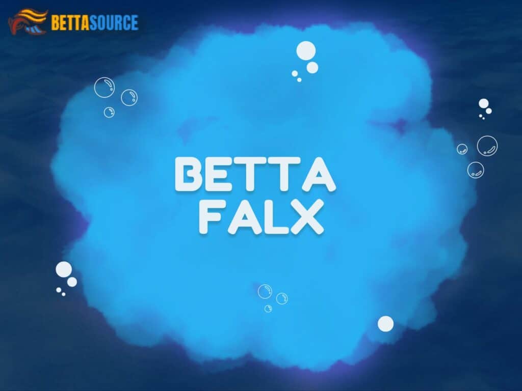 Betta falx