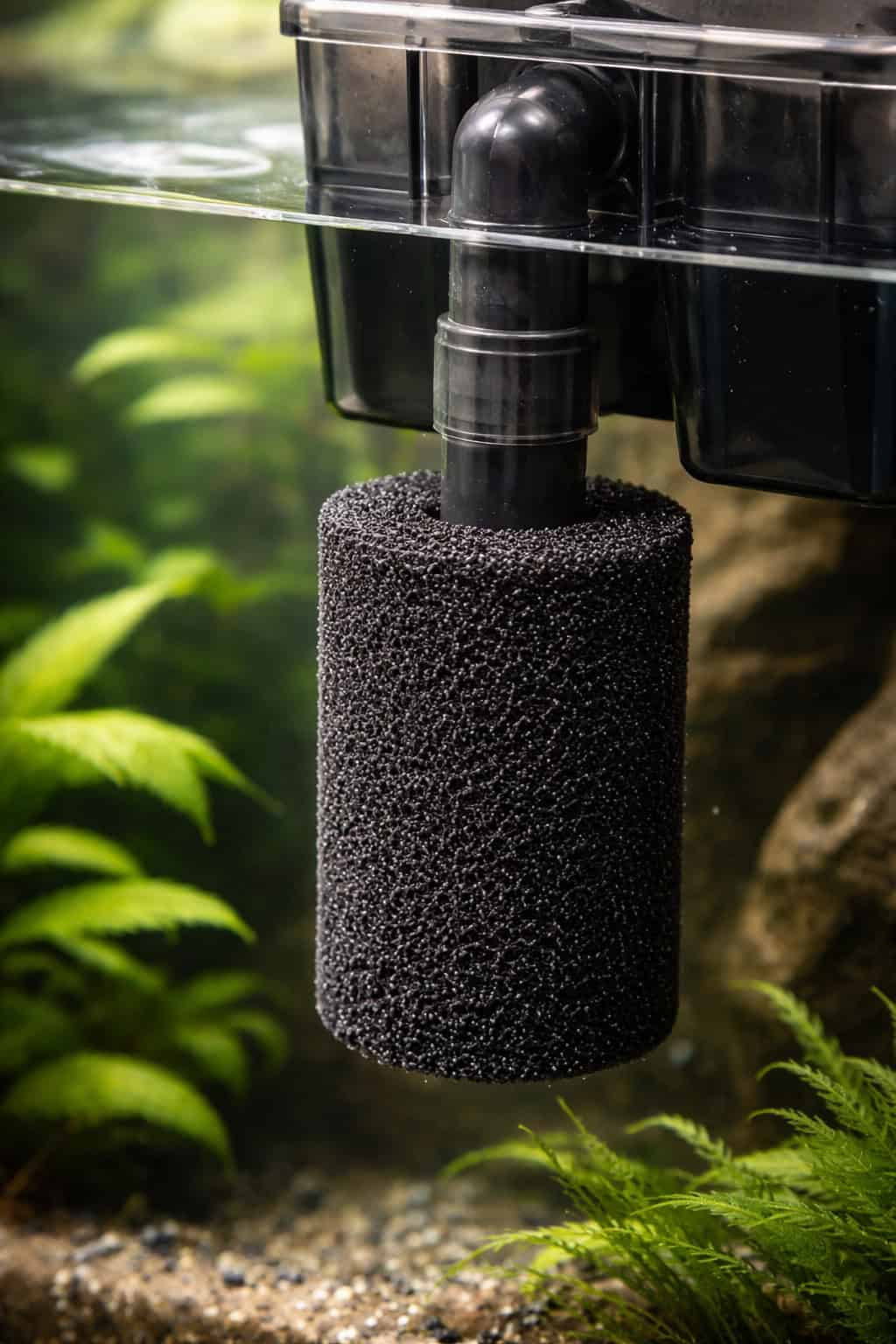 Why Your Betta Has Filter Flow Stress (And What to Check First) 3 A black pre-filter sponge covering the plastic intake tube of an aquarium filter
