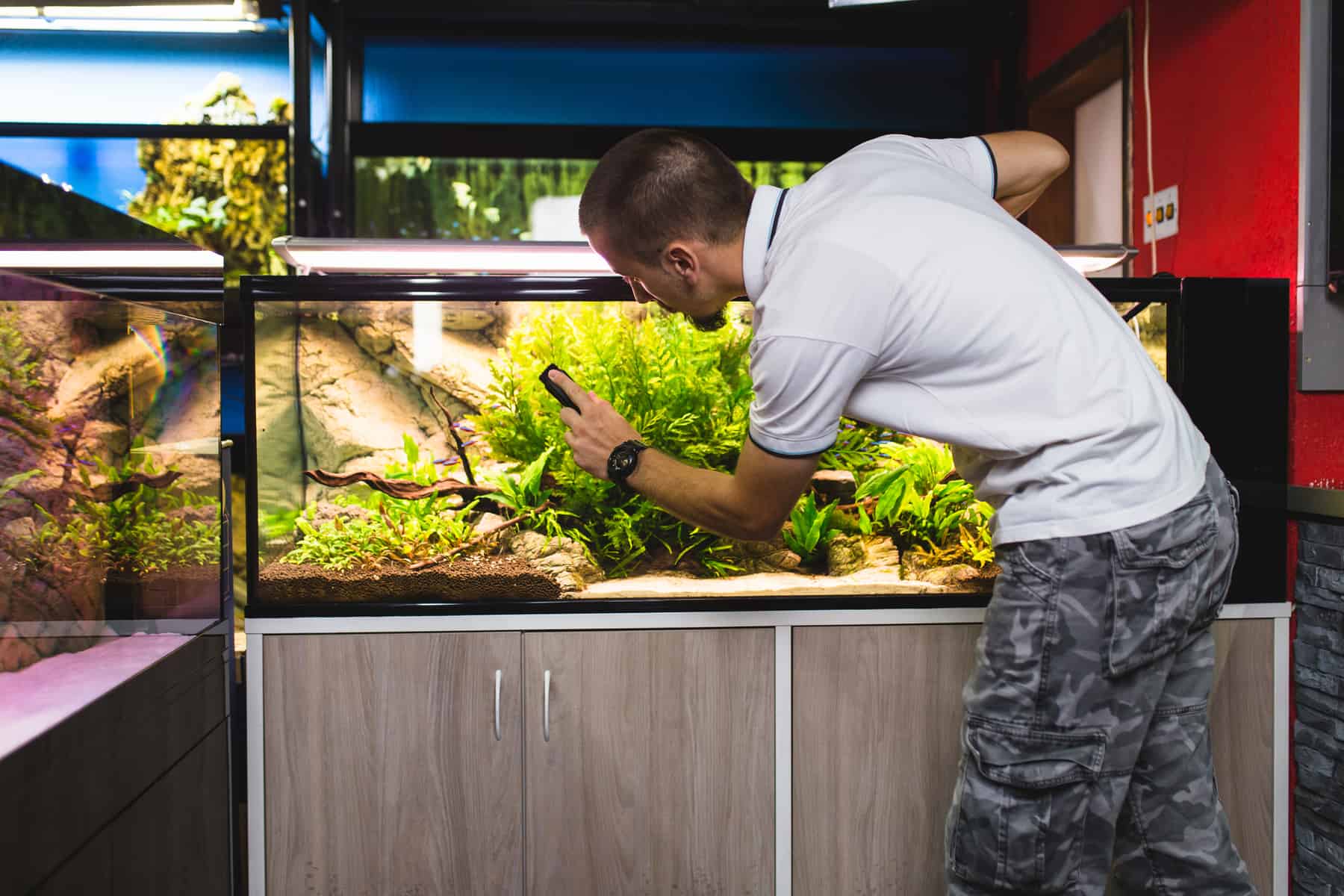 man cleaning aquarium using magnetic fish tank cleaner